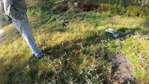 The Grave of Anna Pease at October Mountain State ...
