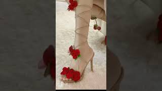 Katta xoroz ogriq bilan mushukka kiradi