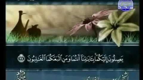 سورة القصص كاملة الشيخ سعد الغامدي swrah al qasas. saad alghamdi