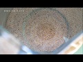 【ASMR】不思議な感覚💚チアシードの音