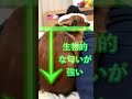 犬と一緒に寝てる人必見！ここで寝てると大好きの証拠！ #shorts