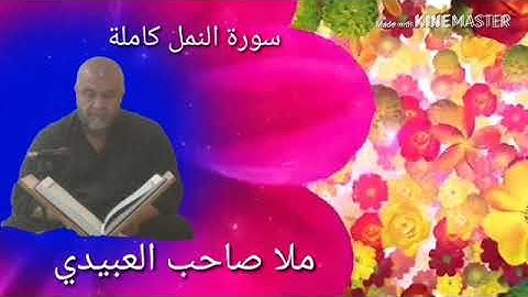 سورة النمل كاملة =هديتى الى ارواح امواتكم اخوانى واخواتى الاطهار =ملا صاحب العبيدى