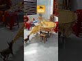 When it all goes wrong 💥🐕❗️🫣  | Animal Watch