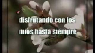 La Oreja de Van Gogh - Paris - Karaoke