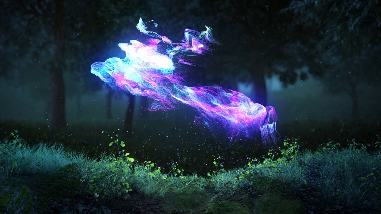 The Outdoor Showcase - Presented By The East Tennessee Fishing Show & Expo