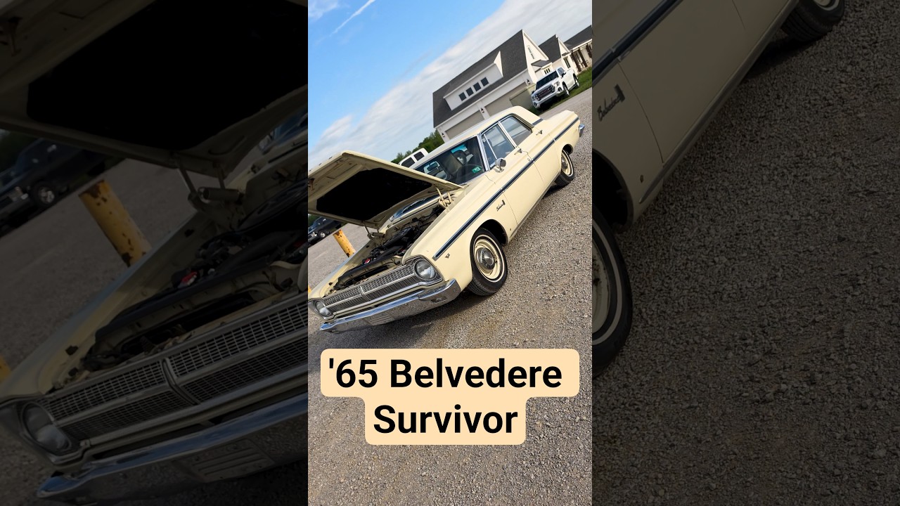 '65 BELVEDERE SURVIVOR COLD START #shorts