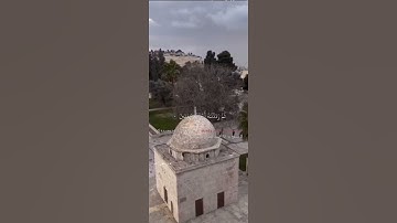 #سورة_التين #تلاوة_هادئة للقارئ #سلطان_شعث