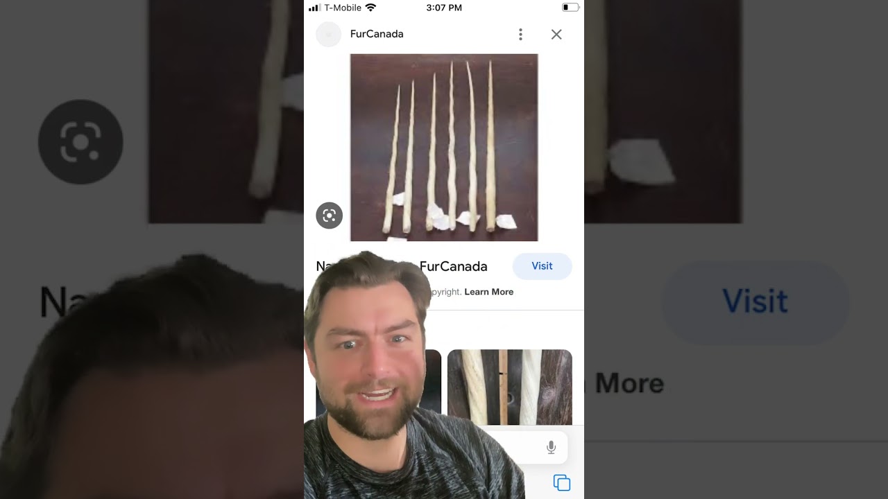 The Vikings sold unicorn horns 