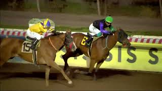 Vidéo de la course PMU PRIX PESEY