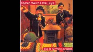 Video thumbnail of "Shopping and Parking - Scared Weird Little Guys - Live at 42 Walnut Crescent (2/26)"