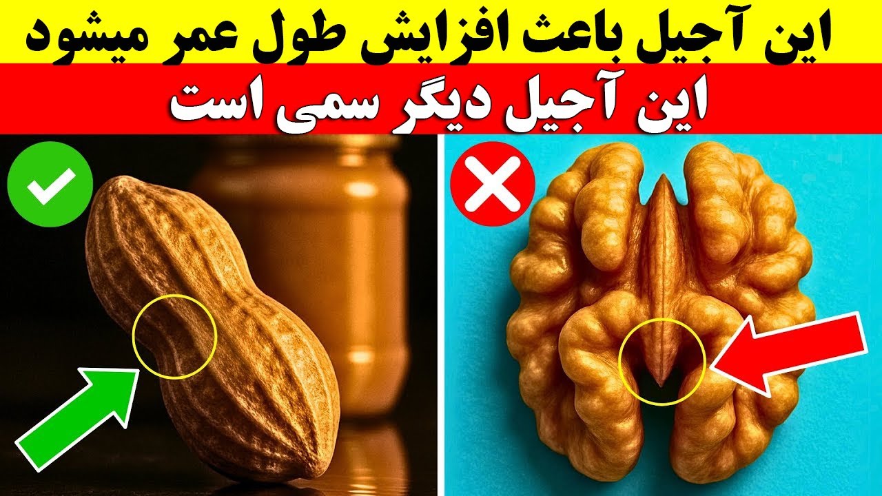 بالای ۶۵ سال؟ ۴ آجیلی که باید بخورید و ۴ آجیلی که هرگز نباید به آنها دست بزنید | دیلی فیتنس