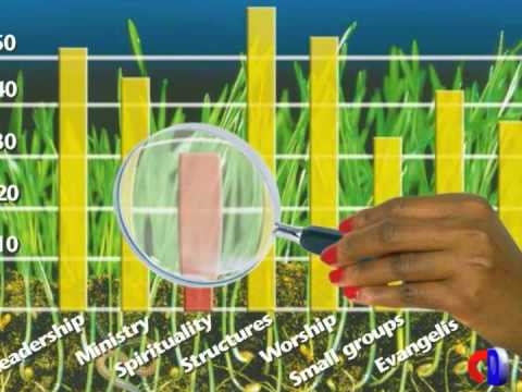 Color Your World With Natural Church Development Color Your World With Natural Church Development