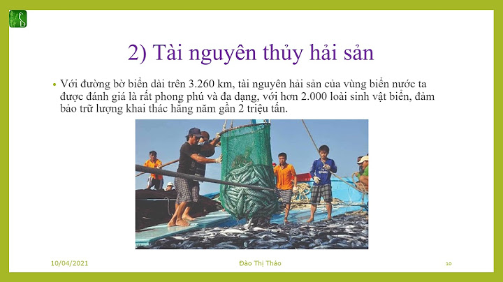 Bài văn giới thiệu về đất nước việt nam năm 2024