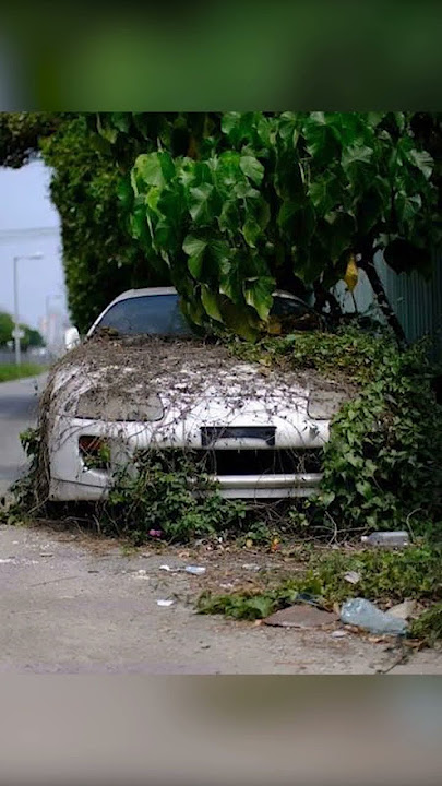 Abandoned Cars In Japan 😪 #shorts #jdm #gtr #s13 #rx7 #jdmcars #supra #toyota #nissan #nissangtr