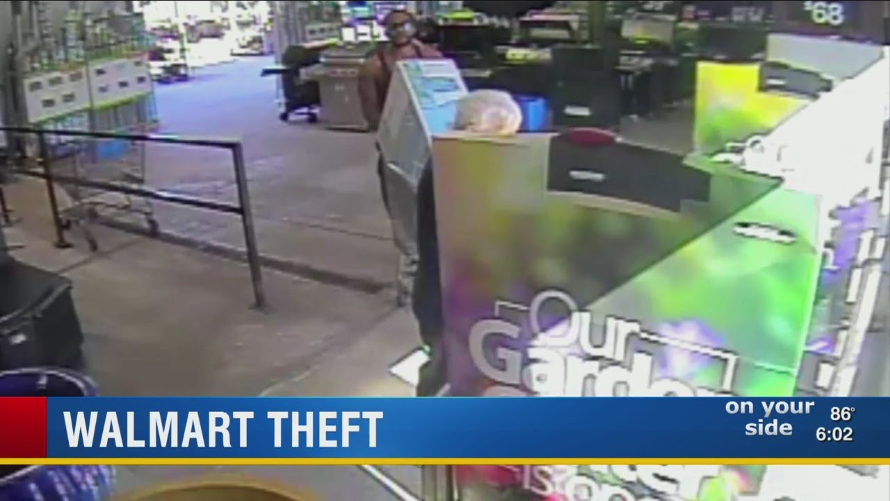 Police look for Winter Haven shoplifting suspects who stole pool from ...