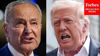 Schumer Pans Trump, GOP For 'Spending All Their Time On Foreign Wars, On Ballrooms, On Private Jets'