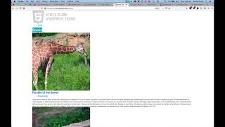 Wordpress: Themes and CSS Frameworks
