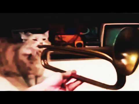 ⠀⠀⠀⠀⠀⠀⠀⠀⊥