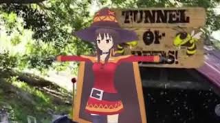 why r/animemes is bad why r/animemes is bad