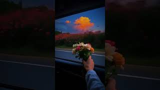 Attention - Charlie Puth | lyrics | aesthetic | whatsapp Status | English songs | slowed | sped up
