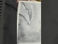 Hyperrealistic leaf drawing