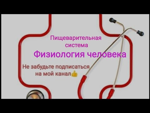 Физиология желудочно кишечного тракта. Двигательная функция.