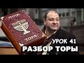 РАЗБОР ТОРЫ. УРОК 41. КИ-ТЕЦЕ