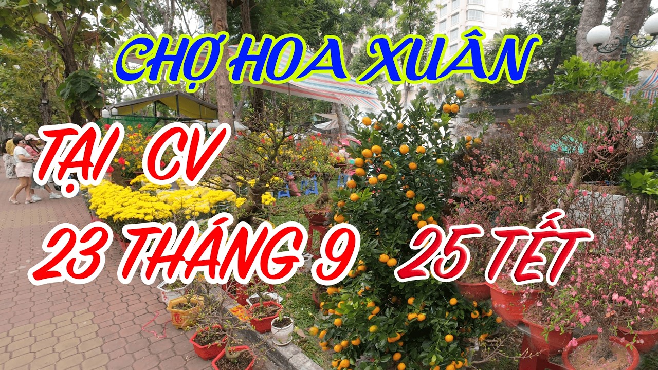 Không Khí Chợ Hoa Xuân Công Viên 23 - 9 | Mai, Đào, Tắc, Bưởi Diễn Rực Rỡ Giữa Lòng Sài Gòn Tết 2026