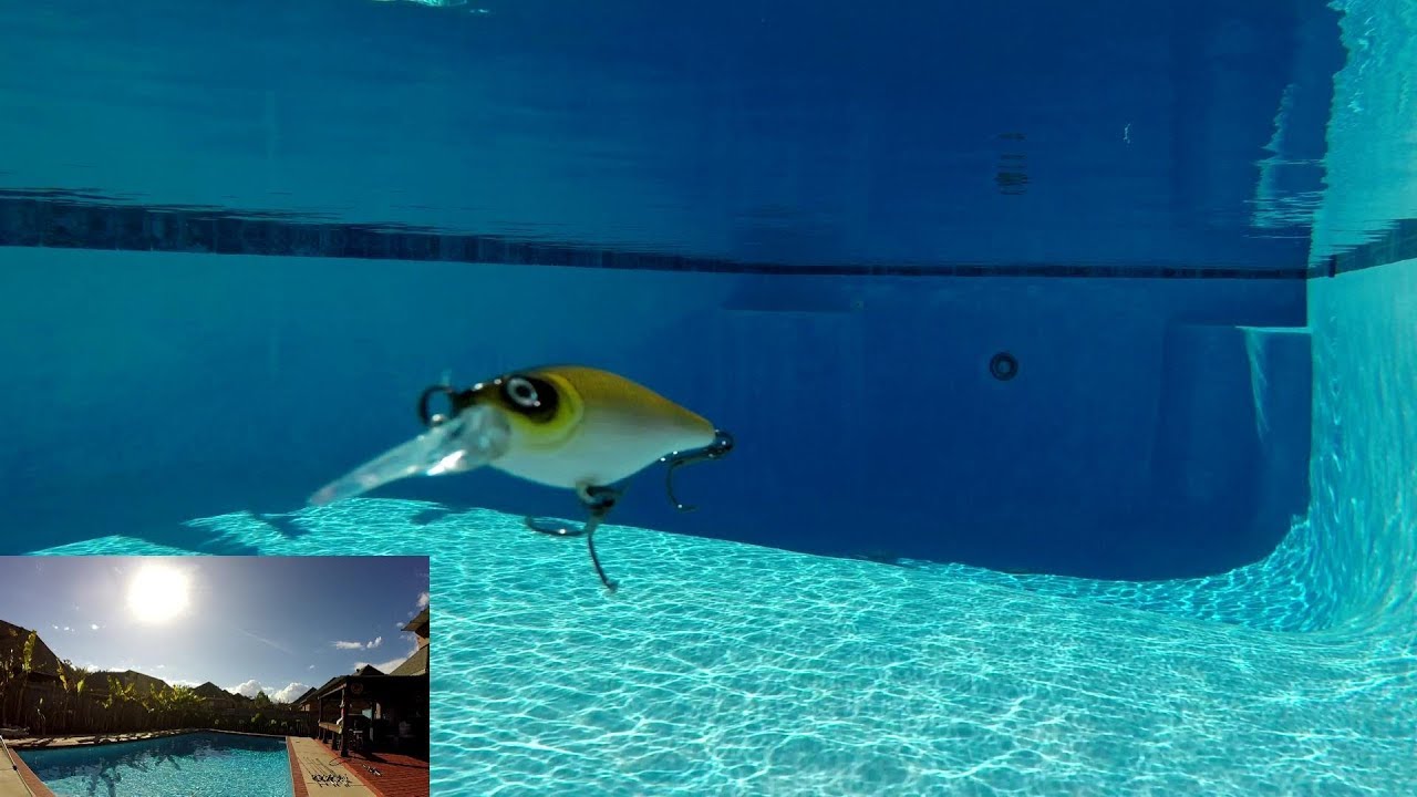 MEDIUM DIVING CRANK BAITS  UNDERWATER VIEW