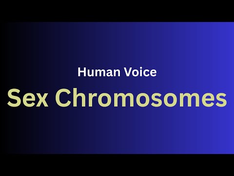 How To Pronounce Sex Chromosomes Perfectly How To Speak Sex Chromosomes 
