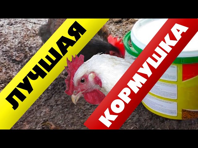 Как сделать кормушку и поилку для кур своими руками