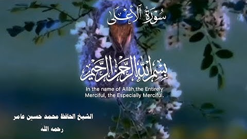 سورة الأعلى كاملةومكتوبة_ الشيخ الحافظ محمد حسين عامر رحمه الله