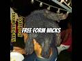 #wicks #jumpropewicks #locs #congos | Wickkidrva
