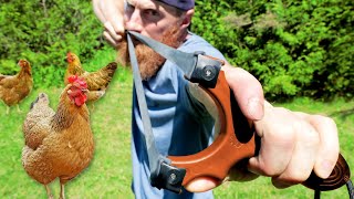 Slingshot Hunting Feral Bush Chickens! | Chicken Noodle Soup, Cowboy Coffee in Catch, Clean, Cook