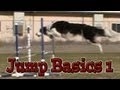 Jumping Basics 1: Agility Dog Training (Susan Salo Exercise) Jumping Basics 1: Agility Dog Training (Susan Salo Exercise)