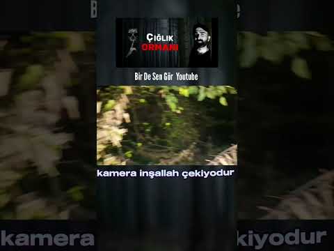 Katil Orman paranormal olaylar #shorts #short