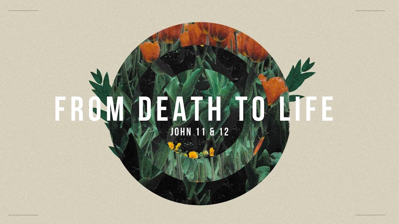 John 11:1-16: Jesus and a Series of Peculiar Events