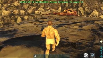 Ark how to spawn a alpha wyvern with admin