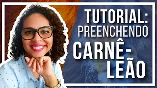 🔴 Preenchendo o Carnê-leão passo-a-passo [TUTORIAL COMPLETO]