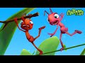 Antiks | High Wire Act! | Funny Cartoons For Kids