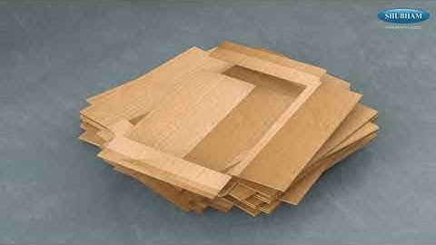 Shubham Automation Pvt Ltd - End of Secondary packing Line Solution  with Track & Trace System