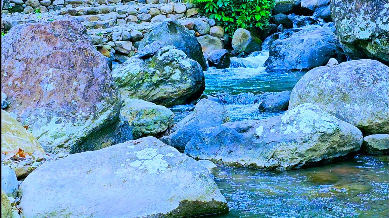 Nature River Sound Therapy Calm Your Mind and Relieve Stress for