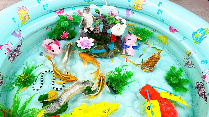 Let's explore what fish and sea creatures there are:sharks,jellyfish#goldfish#animals#viral videos