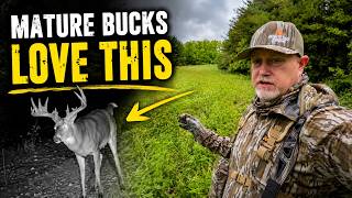 Rotational Mowing for Deer Habitat Explained | Ben Rising - Booner Shool
