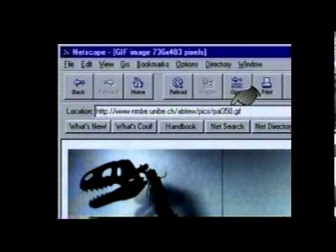 The Internet As It Was In 1996