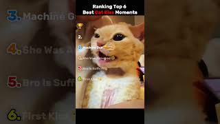 Ranking The Best Cat Kiss Moments