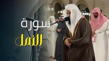 سورة النمل كاملة بصوت الشيخ أنس العمادي | تراويح الليلة 21 رمضان 1446 هـ