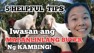 How To Avoid the DECEITFUL BUYER of GOATS in Philippines? 5 Tips! by An, The Farmer  173 views 1 month ago 3 minutes, 26 seconds