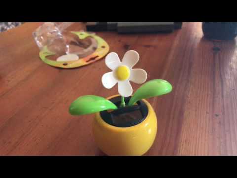 Flip Flap Solar Blume Wackelblume Solarblume unboxing und Anleitung 