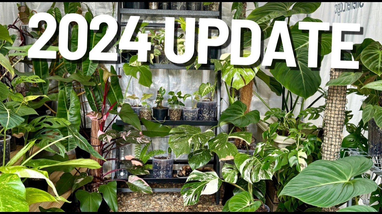 2024 Indoor Plant Tour (MY ENTIRE COLLECTION) - YouTube